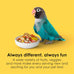 Kaytee Fiesta Big Bites Small Parrot & Conure Food, 4 Pounds, Nutritious and Fun Blend for Skin, Feather, Digestion, Brain and Heart Health