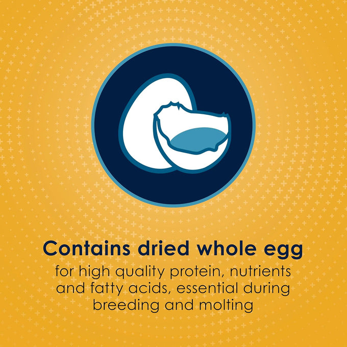 kaytee forti-diet pro health egg-cite conure & lovebird food, 3 pound, high protein, digestive health, brain function support