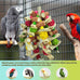 cokliomc natural corncob bird chew toys for small medium macaws african grey parrots