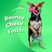 Hartz DuraPlay 3 Pack Latex Dog Toy for Medium Breeds, Bacon Scented, 20-50 Pounds