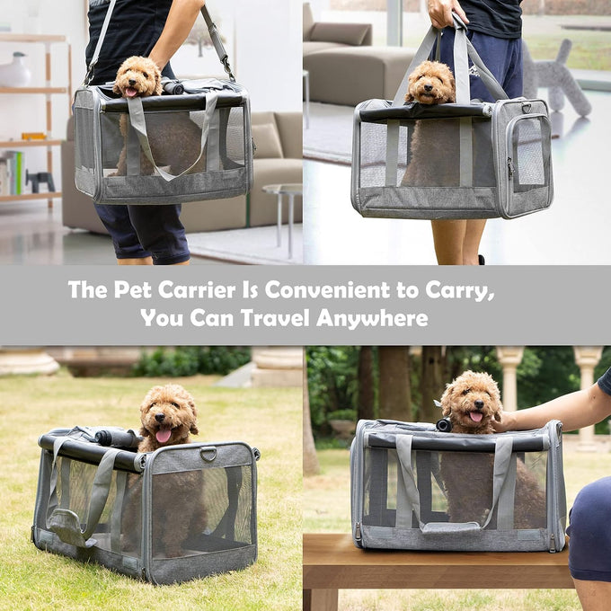 GAPZER Large Cat Carrier for Medium Big Cats, Soft-Sided, Washable, and Collapsible Pet Travel Bag