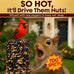 Hot Pepper Bird Seed Cylinders with Hole, 4" x 7.75", No Mess, All Natural, USA Made Birdseed for Outside Wild Birds