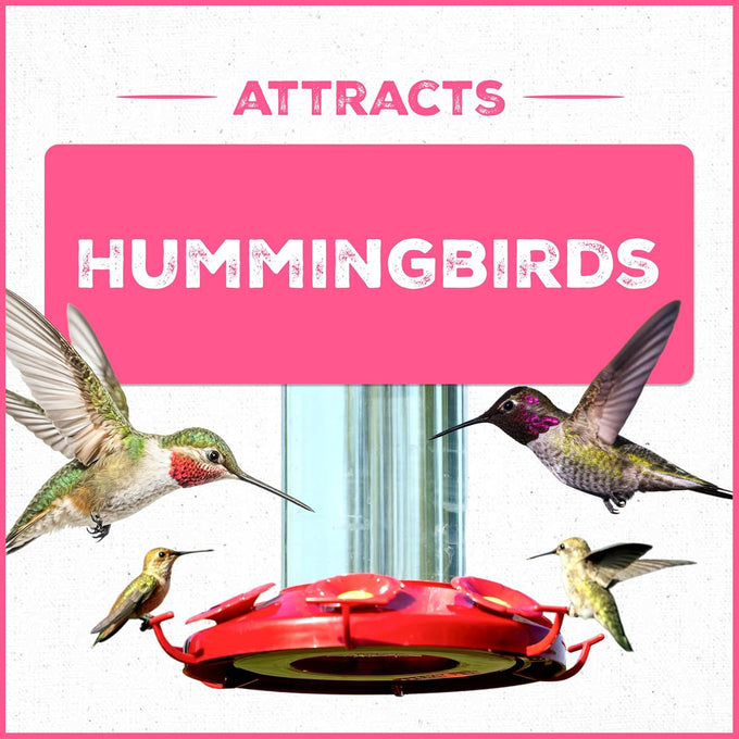 Pennington Electro-Nectar 64-oz Ready to Use Hummingbird Nectar Liquid with Electrolytes, Naturally Colored, No Dye