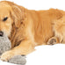 hyper-pet-doggie-tail-interactive-plush-automatic-dog-toy-for-all-dog-breeds