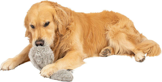 hyper-pet-doggie-tail-interactive-plush-automatic-dog-toy-for-all-dog-breeds