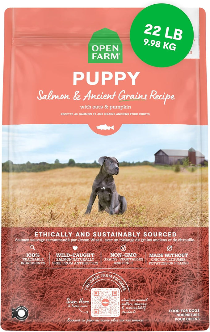 Open Farm, Grain-Free Dry Dog Food for Puppies, Protein-Packed Kibble, Sustainably & Ethically Sourced Ingredients, Non-GMO Veggies & Superfoods, Salmon & Sweet Potato Puppy Recipe, 4lb Bag