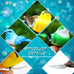 Threan 5-pcs artificial parrot bird ornaments for tree, wreath, and garden decor, assorted colors, 4.7 inches