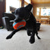 Chuckit! Indoor Fetch Roller Toy for Dogs - Orange and Blue Interactive Dog Toy
