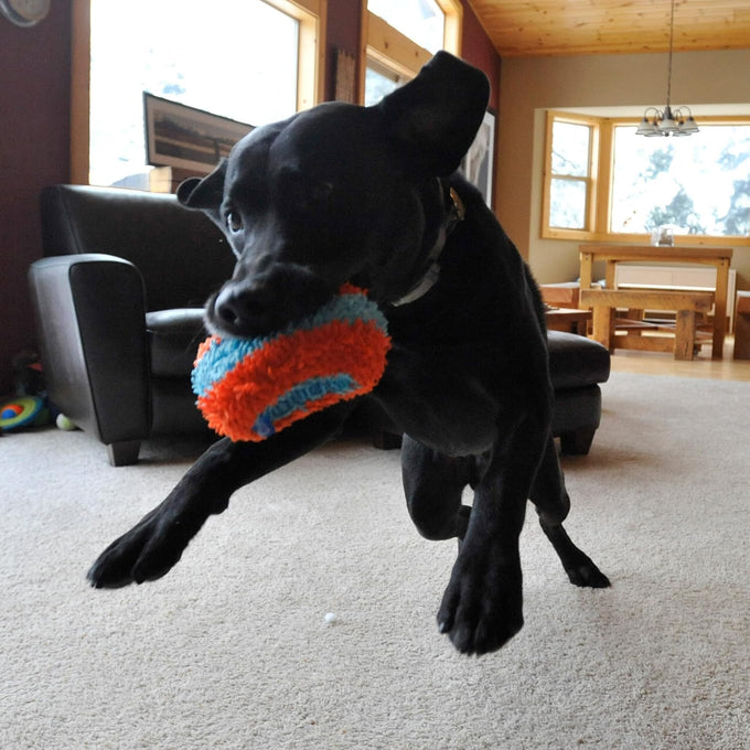Chuckit! Indoor Fetch Roller Toy for Dogs - Orange and Blue Interactive Dog Toy