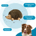 Outward Hound Hedgehogz Stuffed Dog Toy Soft Plush Large 12" x 6" x 7" Grunts Squeaks
