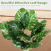 Monstera 41in Cat Scratching Post with Sisal Rope Tower and Hanging Mouse Toy for Indoor Adult Cats