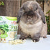 Exotic Nutrition green pea flake supplement 3oz for small pets