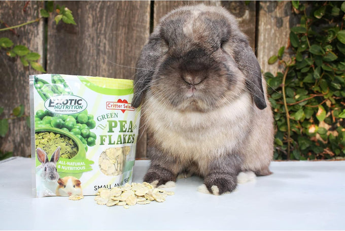 Exotic Nutrition green pea flake supplement 3oz for small pets