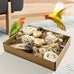 Nature Color Natural Bird Toy Foraging Parrot Shredding Toys Box for Small-Medium Birds