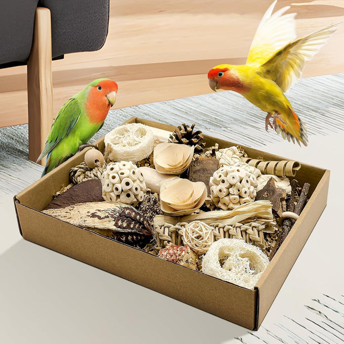 Nature Color Natural Bird Toy Foraging Parrot Shredding Toys Box for Small-Medium Birds