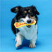 Hartz Chew 'n Clean Dental Duo Dog Treat & Chew Toy - Large, 3 Pack, Color Varies