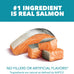 iams proactive health dry cat food indoor weight and hairball care recipe with salmon 7 lb bag