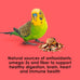 Kaytee Fiesta Parakeet Food, 2 pounds, Nutritious and Fun Blend for Skin, Feather, Digestion, Brain, and Heart Health