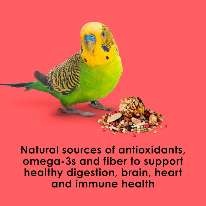 Kaytee Fiesta Parakeet Food, 2 pounds, Nutritious and Fun Blend for Skin, Feather, Digestion, Brain, and Heart Health
