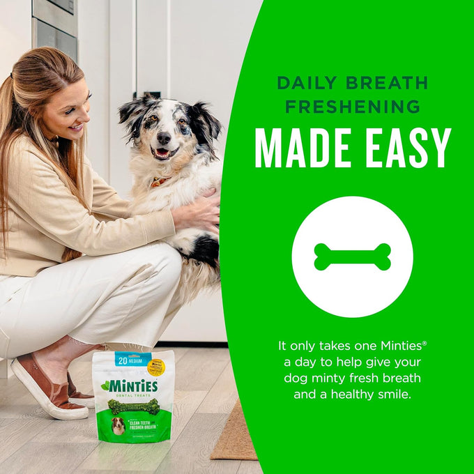 Vet-recommended minties dog dental bone treats, tiny/small dental dog treats for clean teeth and fresh breath, 80 count