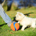 chuckit kick fetch ball dog toy large size 8-inch diameter floats in water durable rubber and foam