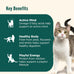 Rachael Ray Nutrish Indoor Complete Chicken, Lentils & Salmon Recipe Dry Cat Food, 6 lb.