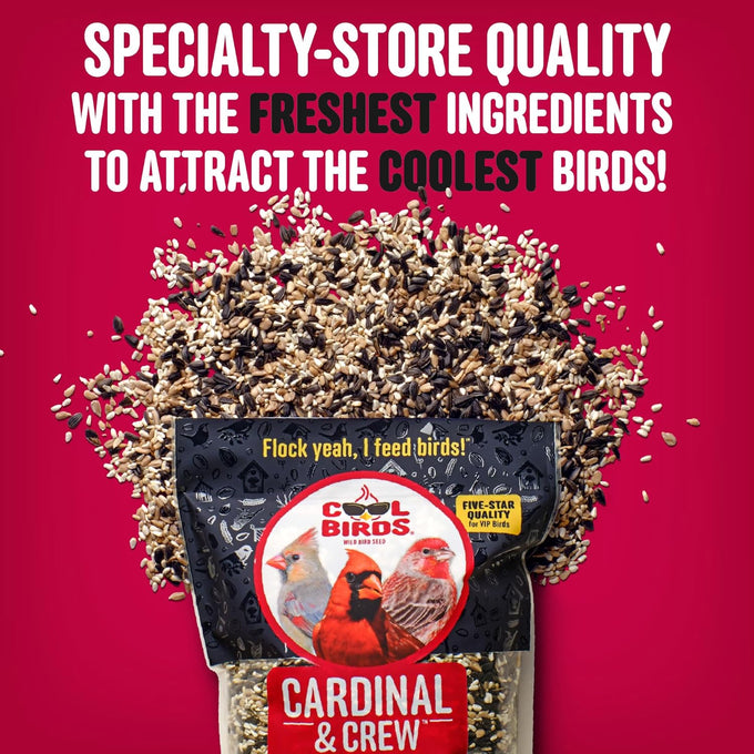 Cool Birds Cardinal & Crew 10 lb Black Oil Sunflower Blend for Cardinals, Grosbeaks & Chickadees Bird Food