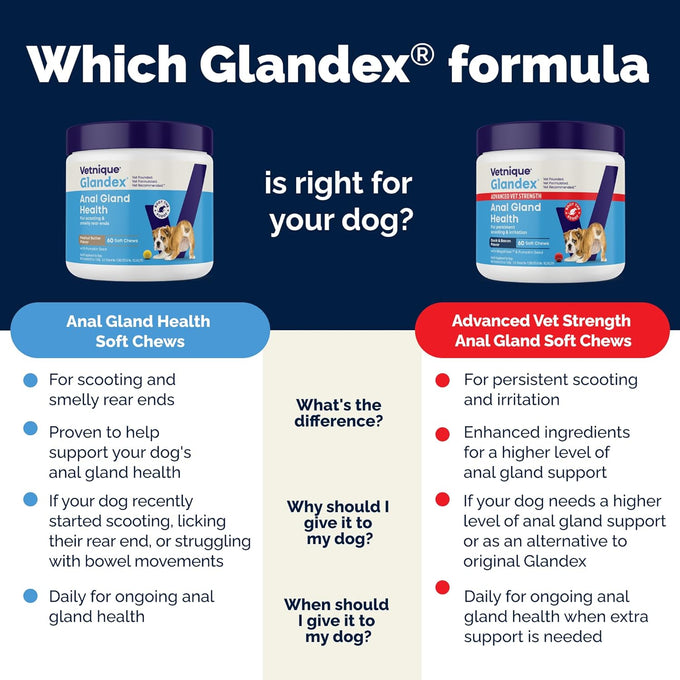 Vetnique Glandex Anal Gland Soft Chews with Pumpkin, Digestive Enzymes, Probiotics, Fiber Supplement for Dogs (Bacon Flavor, 60 Count)