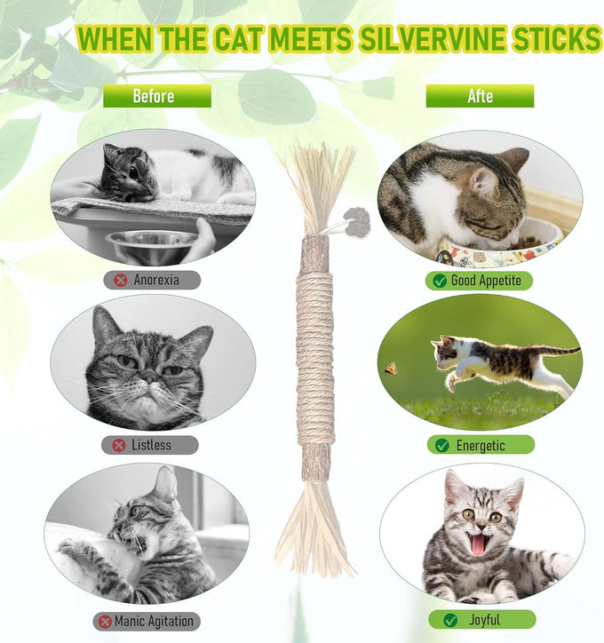 BAWAN 5PCS Silvervine Cat Chew Sticks for Indoor Cats Interactive Teething Toys for Kitten Aggressive Chewers