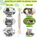 BAWAN 5PCS Silvervine Cat Chew Sticks for Indoor Cats Interactive Teething Toys for Kitten Aggressive Chewers