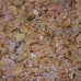 api tropical flakes fish food 1.1-ounce container for tropical community fish