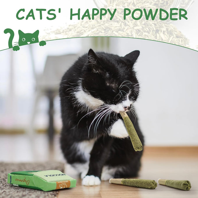 Nocciola 3 pack catnip toys for cats, funny cat toys with 100% pure organic catnip, safe kitten teething chew and kicker toys