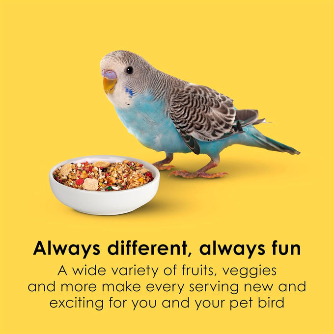 Kaytee Fiesta Parakeet Food, 2 pounds, Nutritious and Fun Blend for Skin, Feather, Digestion, Brain, and Heart Health