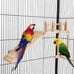 Wooden bird perches platform swing for small birds with climbing ladder, parakeet cage accessories