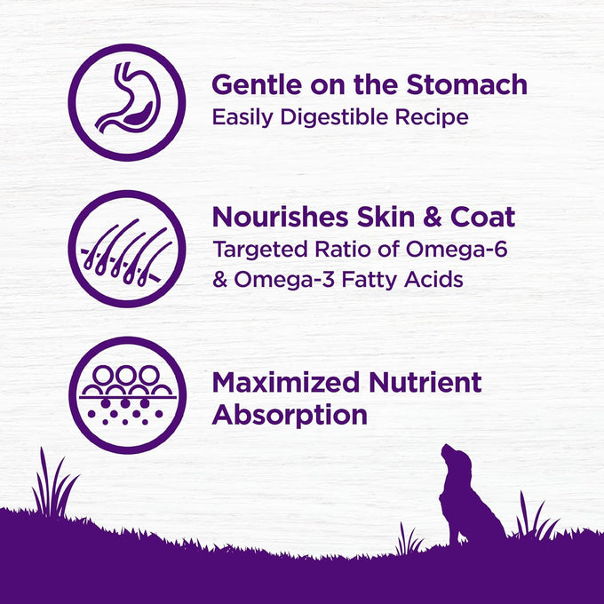 Wellness Complete Health Sensitive Skin and Stomach Dry Dog Food, Wholesome Grain Kibble, Natural, Chicken Free, Salmon and Rice Recipe, 5 lb Bag