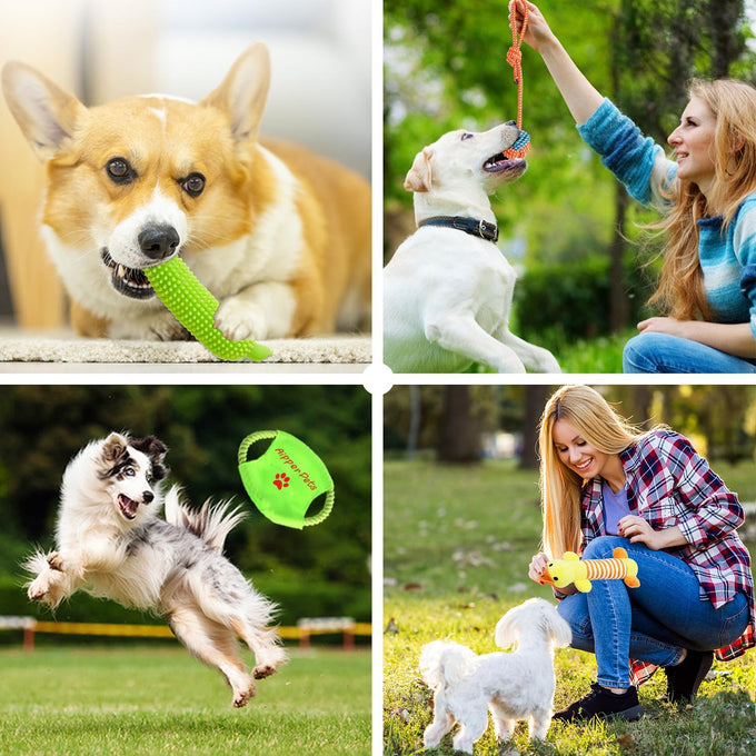 aipper dog toys 25 pack for fun and teeth cleaning, puppy chew toys with squeak plush toys, squeaky toy balls, and tug of war ropes for small dogs