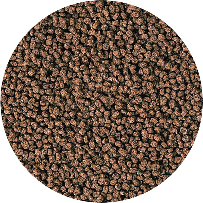 Hikari Marine-S Pellets Fish Food for Smaller Marine Fish with High Protein and Color Enhancing Benefits