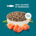 rachael ray nutrish real salmon dry cat food 14 lb bag brown rice recipe