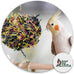 3 inch colorful paper and wooden shredder ball bird toy for cockatiels parrots and more