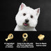 Cesar Wet Dog Food Variety Pack, Breakfast & Dinner Flavors, 3.5 oz Trays