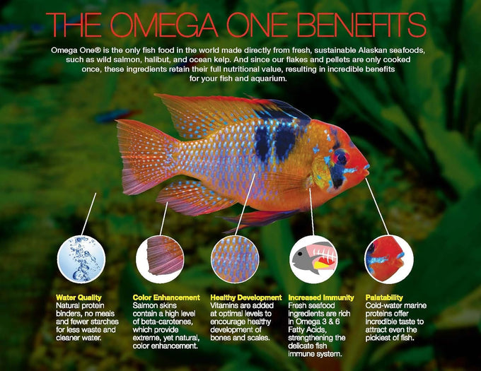 Omega One Cichlid Flakes - 12 Ounce, Salmon Skin, Omega 3, Low Ash, Fresh Protein