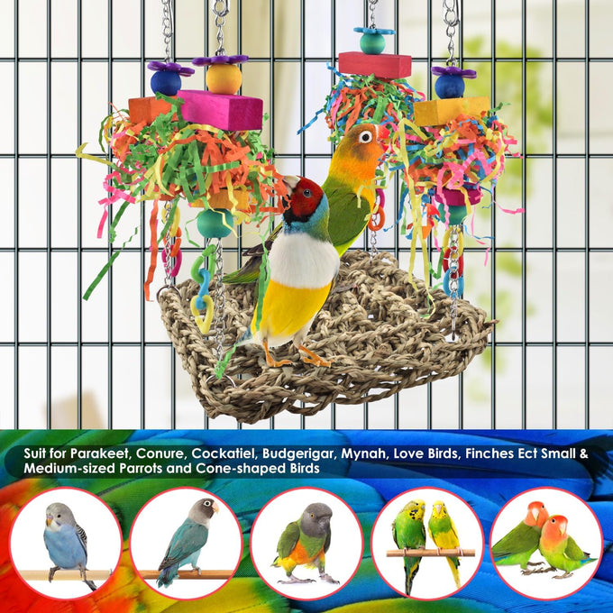 katumo seagrass bird swing mat with stainless chains and colorful toys for small parrots
