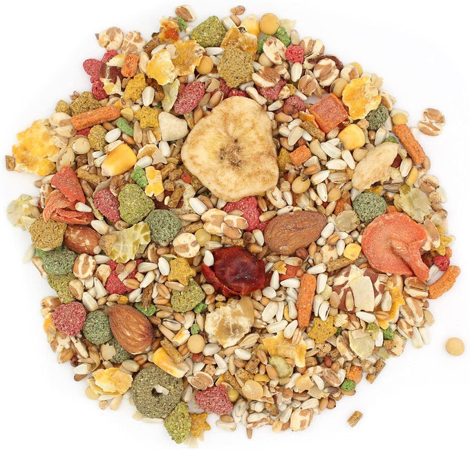 Vitakraft VitaSmart Conure Small Parrot Food 4 Pound Bag premium bird food mix with real vegetables and fruits