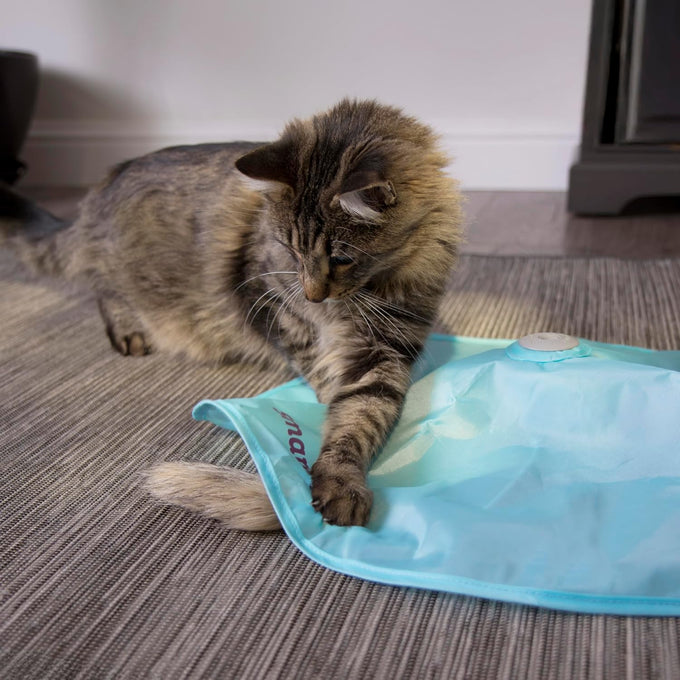 SmartyKat battery-powered electronic motion toys for cats and kittens, multiple styles available