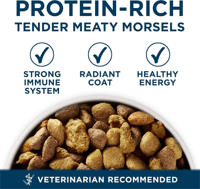 Purina ONE Plus Large Breed Adult Dog Food - 40 lb Bag