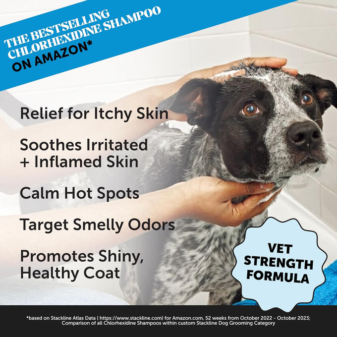 pet honesty chlorhexidine cat & dog shampoos with chlorhexidine for seasonal itch relief allergies & skin problems 16oz