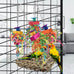 katumo seagrass bird swing mat with stainless chains and colorful toys for small parrots