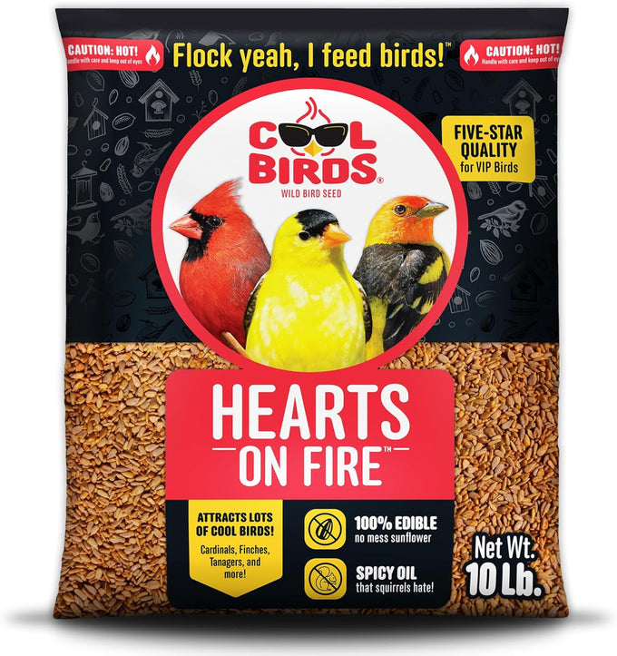 cool-birds-hearts-on-fire-hot-bird-seed-10-lb-100-hulled-sunflower-hearts-with-chili-pepper-oil