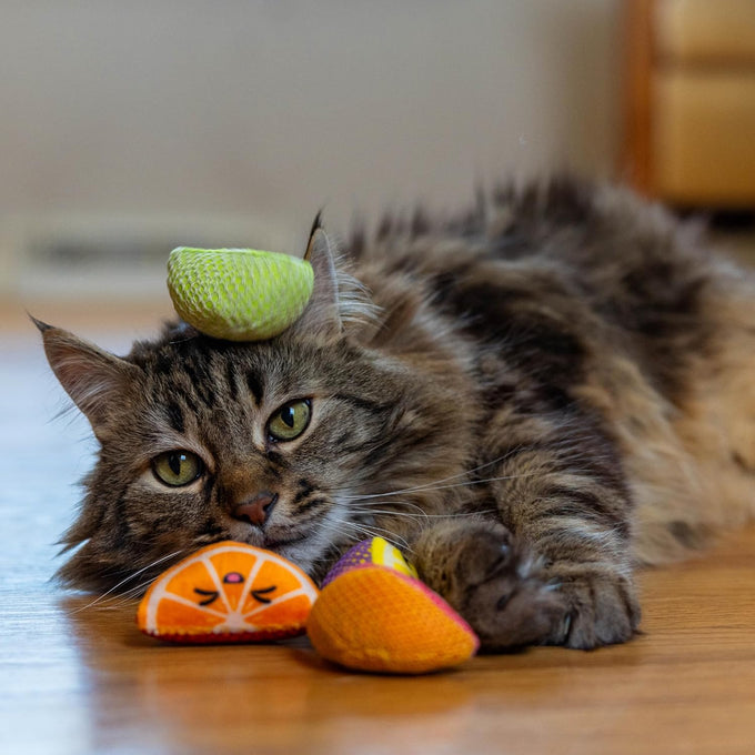 Catstages 4-pack Dental Fruit Wedges soft and textured catnip chew toys for adult cats and kittens
