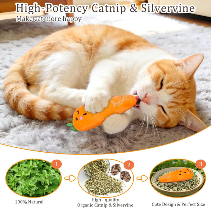 etyker plush catnip toys, 5 pack, indoor kitten kitty toys, interactive veggie shape cat kicker chew toys